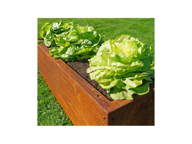 PRIMA TERRA Hochbeet-Bausatz "Planus" Metall Edelrost 118x118cm H35cm