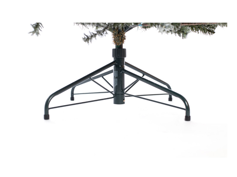 EVERGREEN CEDAR Kiefer Frost 210cm