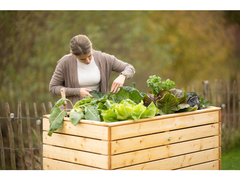 WESTMANN Hochbeet Fichte 130x70x90 cm natur
