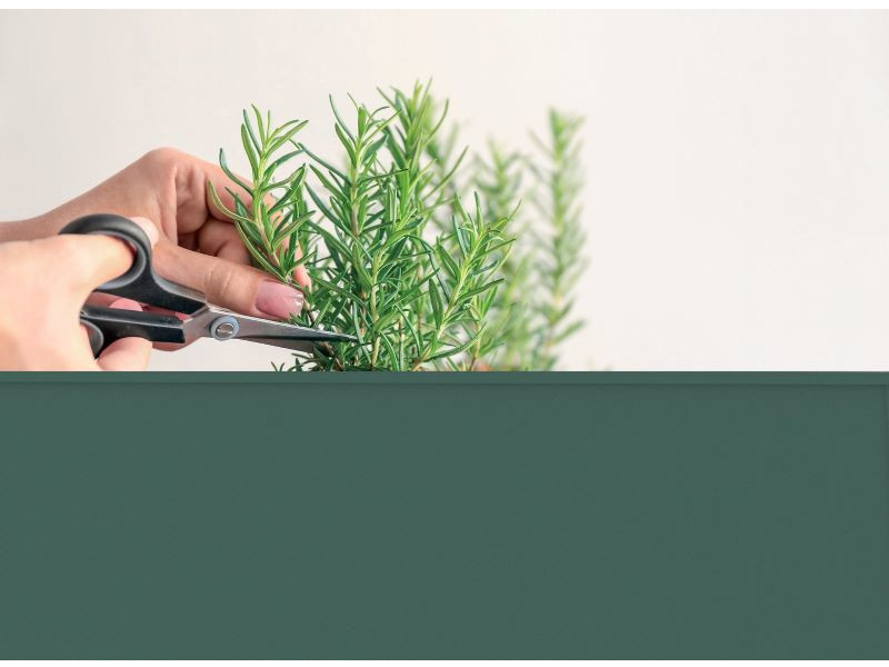 HERSTERA Kräuterfabrik URBAN 75x35x80 olivgrün