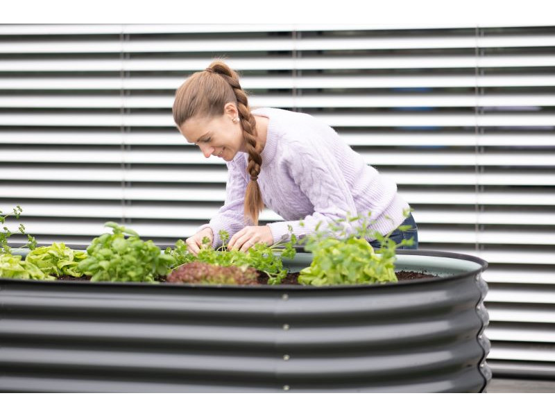 WESTMANN Hochbeet Metall Oval 240x80x82 cm anthrazit