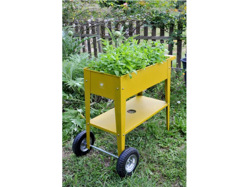 HERSTERA Kräuterfabrik URBAN 75x35x80 mustard