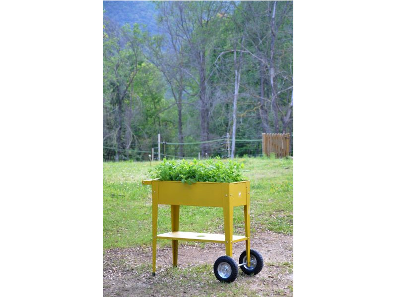HERSTERA Kräuterfabrik URBAN 75x35x80 mustard
