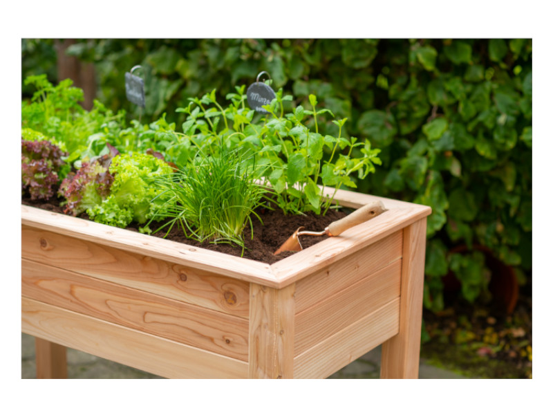WESTMANN Stelzenhochbeet 120x65x75 cm natur