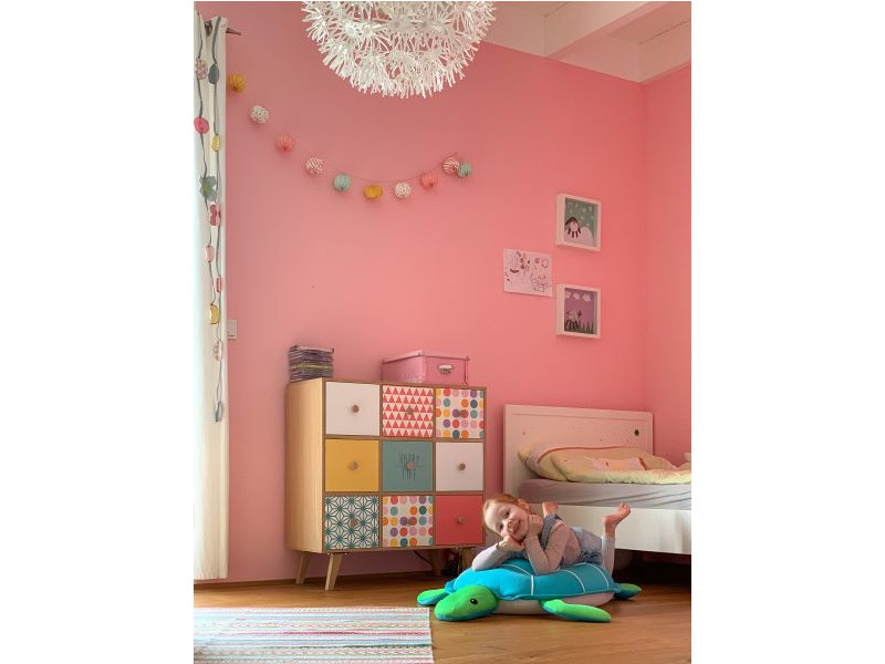 WESTMANN Pool Buddy SCHILDKRÖTE