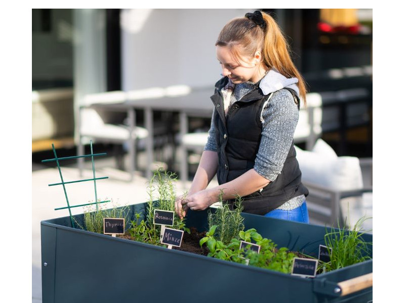 HERSTERA Kräuterfabrik SWIVEL 120x60x80 anthrazit