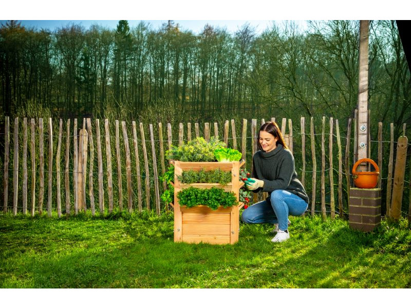 WESTMANN Premium Hochbeet Lärche 65x65x73 cm natur