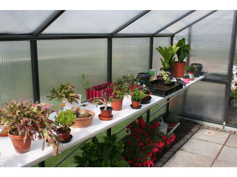 KGT Tischgestell für Gewächshaus Orchidee IV