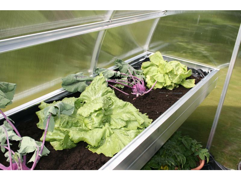 KGT Pflanzwanne für Gewächshaus CALLAS III