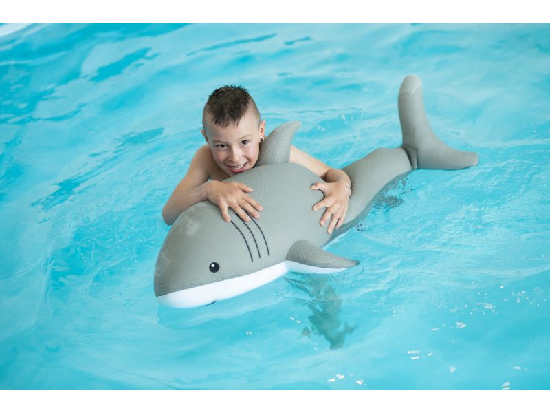 WESTMANN Pool Buddy HAI