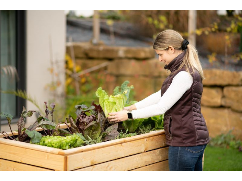 WESTMANN Hochbeet Fichte 160x70x90 cm natur