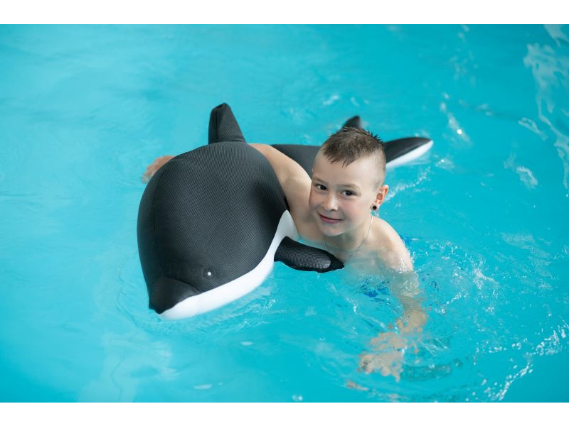 WESTMANN Pool Buddy DELFIN