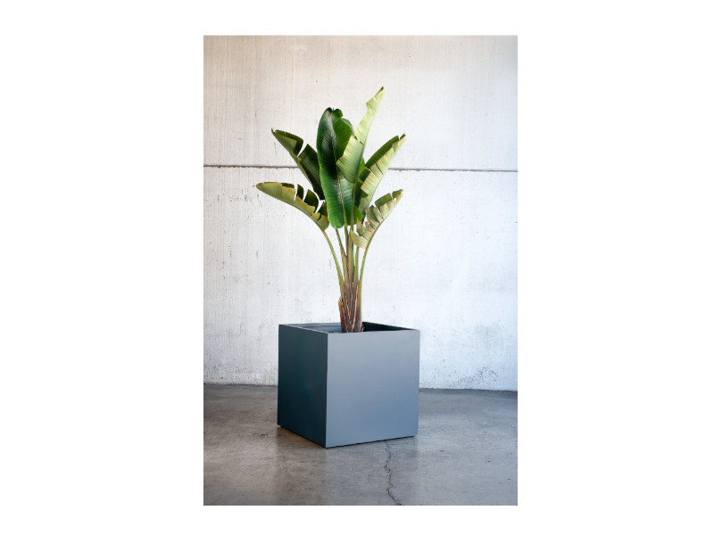 HERSTERA Pflanzgefäß Metall 50x50x50 anthrazit