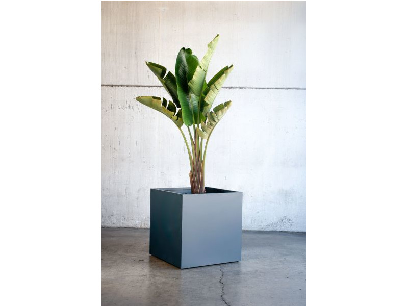 HERSTERA Pflanzgefäß Metall 70x70x70 anthrazit