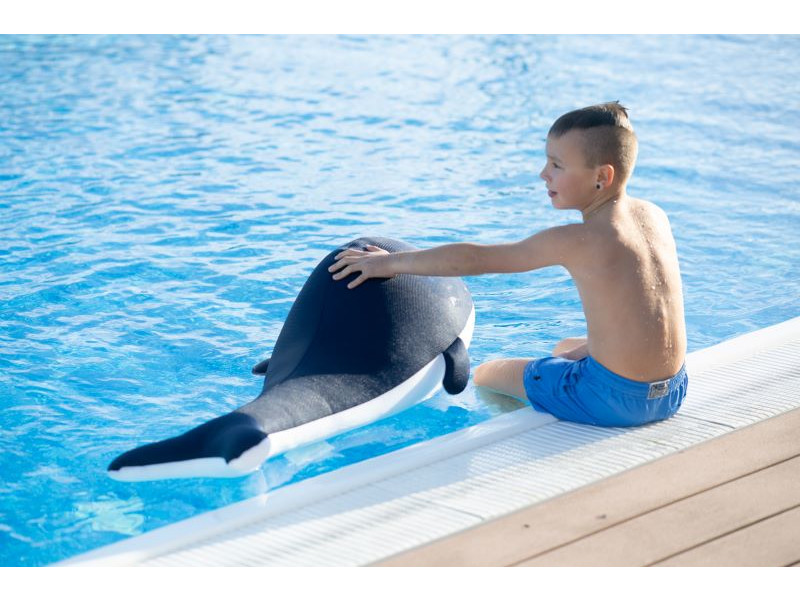 WESTMANN Pool Buddy WAL
