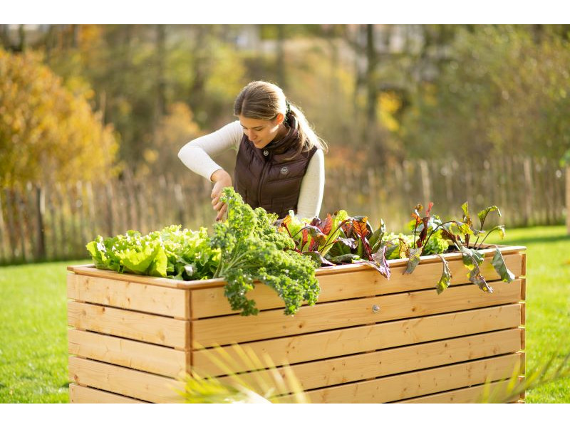 WESTMANN Hochbeet Fichte 160x70x90 cm natur