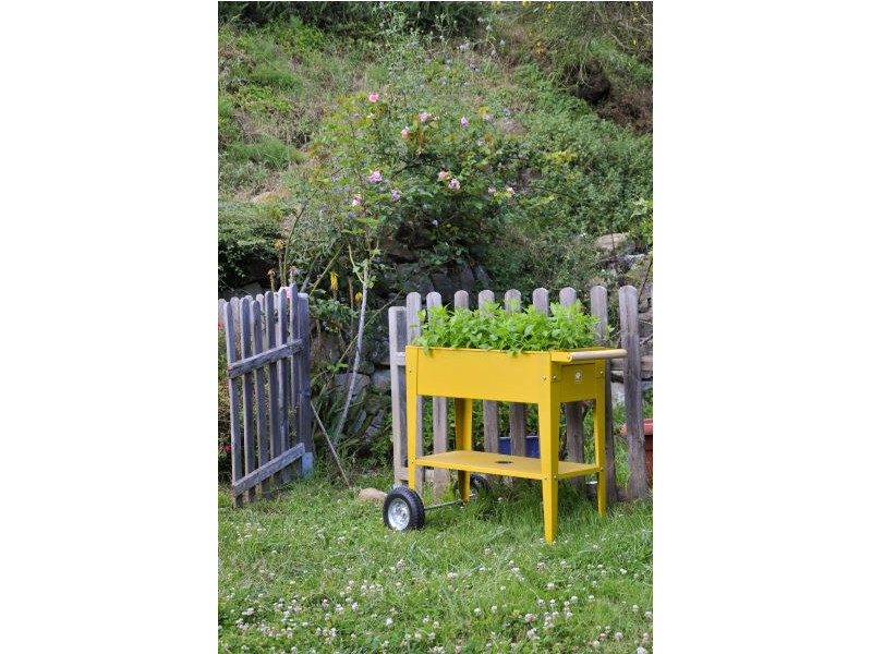 HERSTERA Kräuterfabrik URBAN 75x35x80 mustard