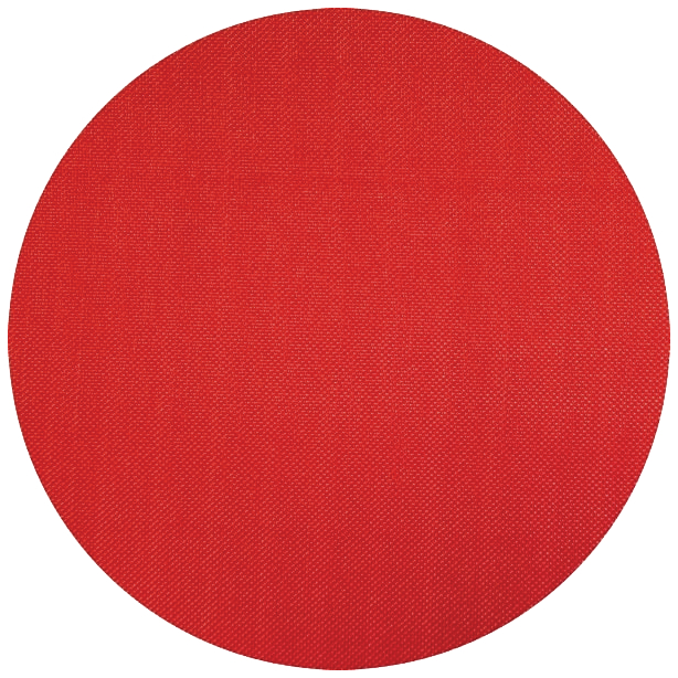 HOLZSTAR Klettaufnahme für Schleifteller BTS 250