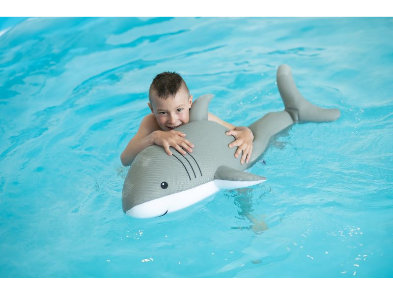 WESTMANN Pool Buddy HAI