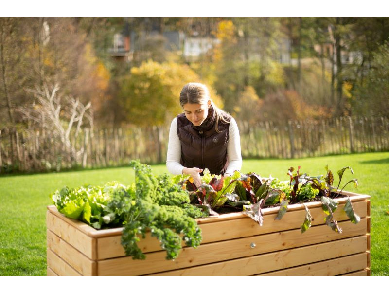 WESTMANN Hochbeet Fichte 160x70x90 cm natur