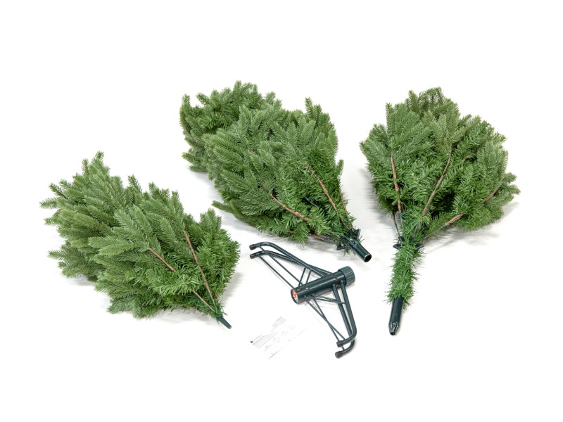 EVERGREEN CEDAR Kiefer Frost 210cm