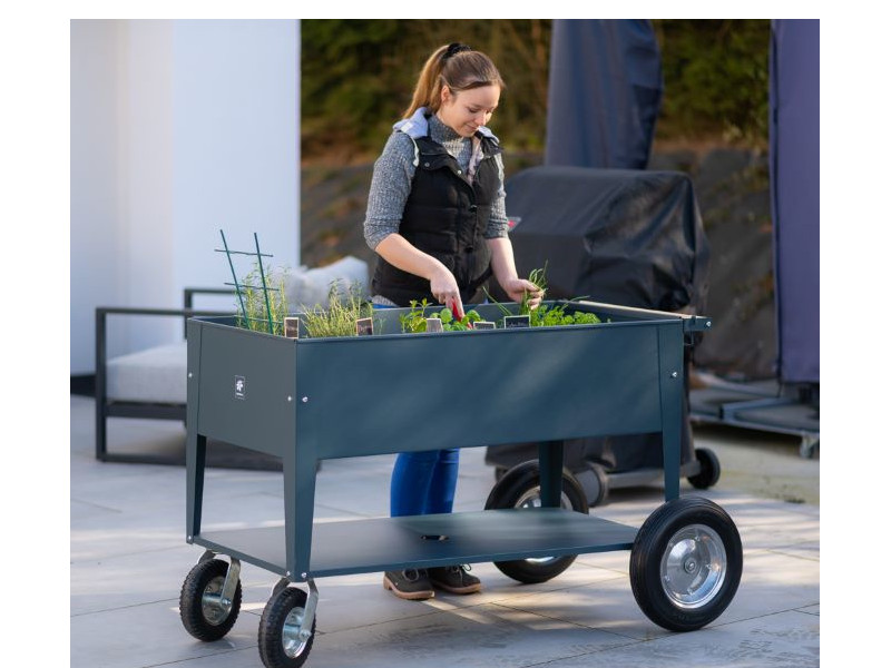 HERSTERA Kräuterfabrik SWIVEL 120x60x80 anthrazit