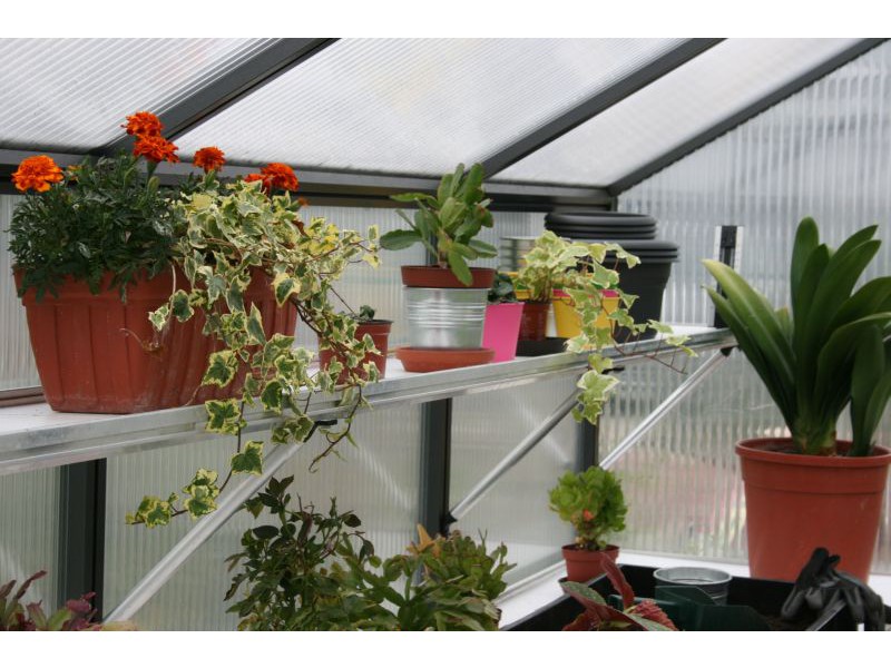 KGT Hängebord für Gewächshaus Rhodo III