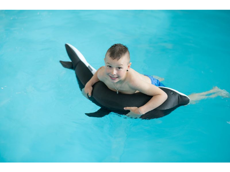 WESTMANN Pool Buddy DELFIN