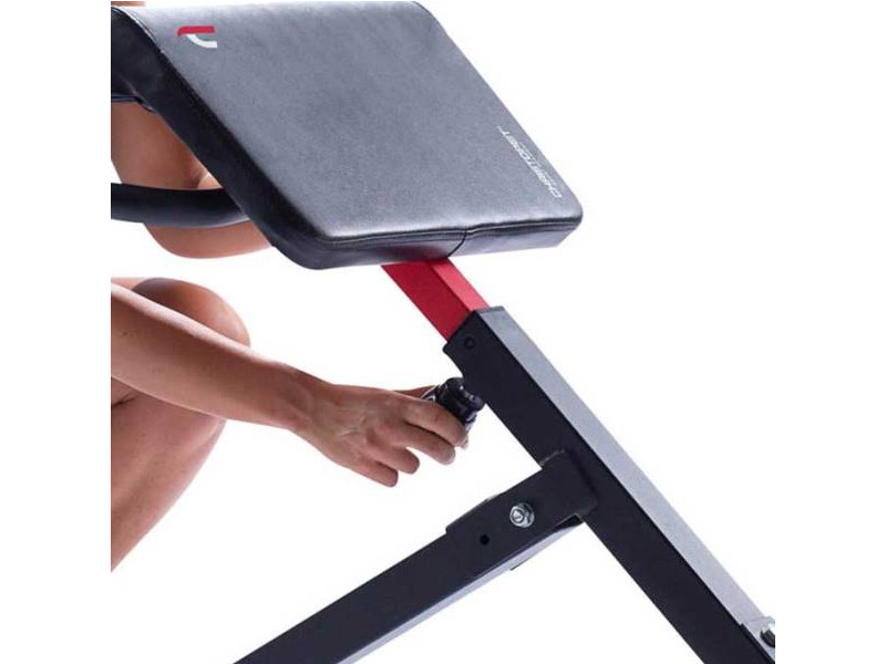 CHRISTOPEIT Bauch- und Rückentrainer AB 1000