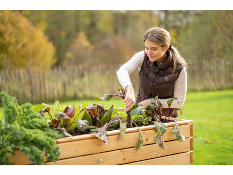 WESTMANN Hochbeet Fichte 160x70x90 cm natur
