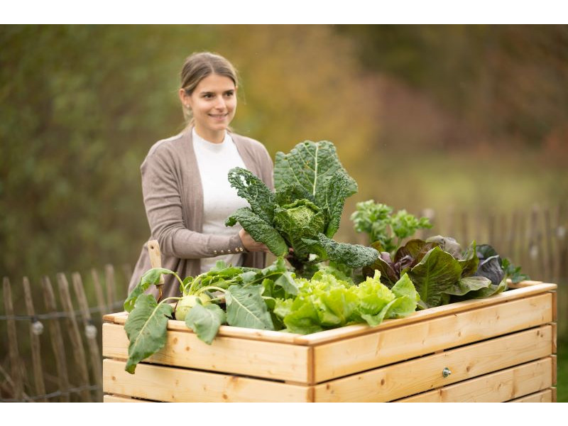 WESTMANN Hochbeet Fichte 130x70x90 cm natur