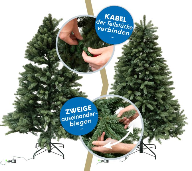 EVERGREEN Weihnachtsbaum Roswell Kiefer 210 cm