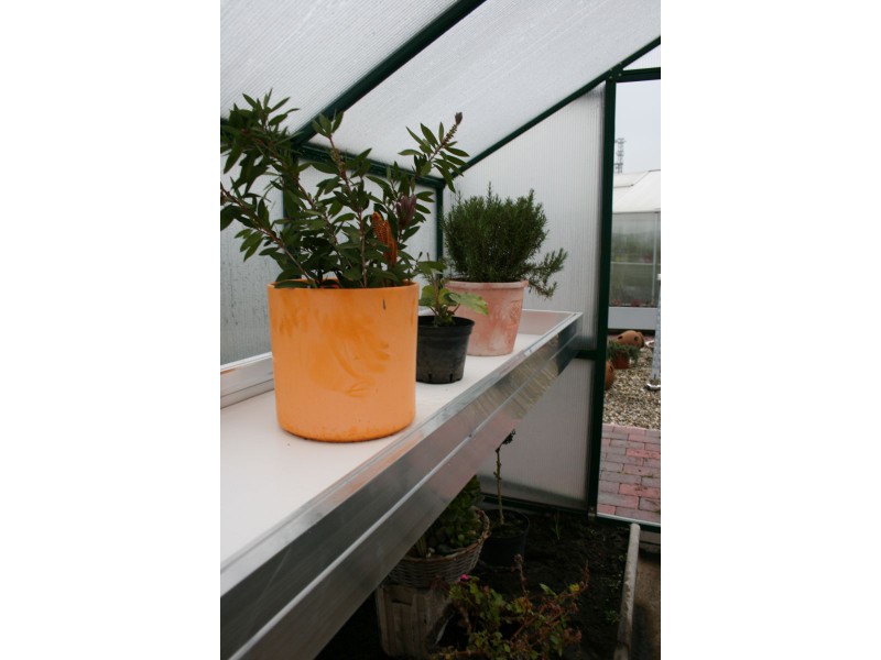 KGT Pflanzwanne für Gewächshaus CALLAS IV