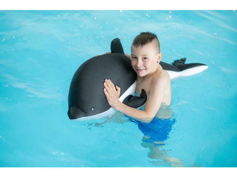 WESTMANN Pool Buddy DELFIN