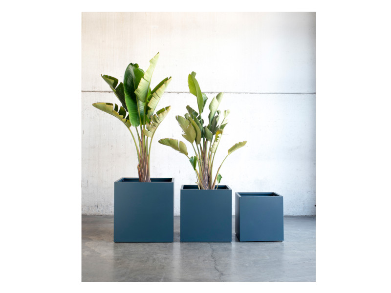 HERSTERA Pflanzgefäß Metall 50x50x50 anthrazit