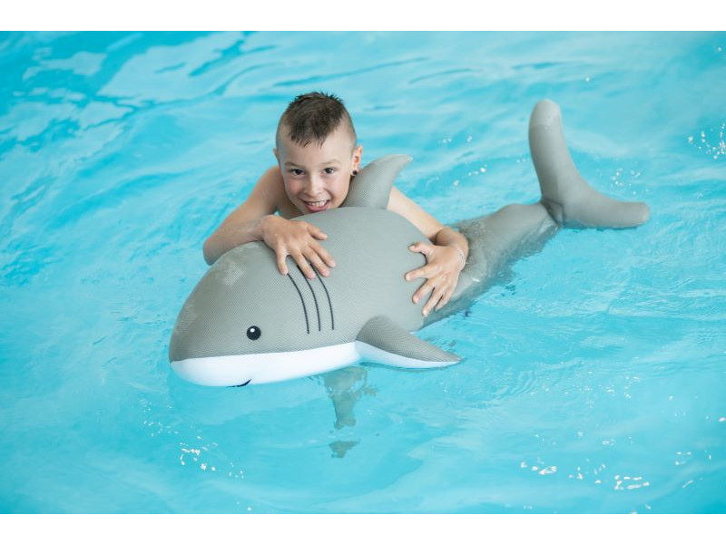 WESTMANN Pool Buddy HAI
