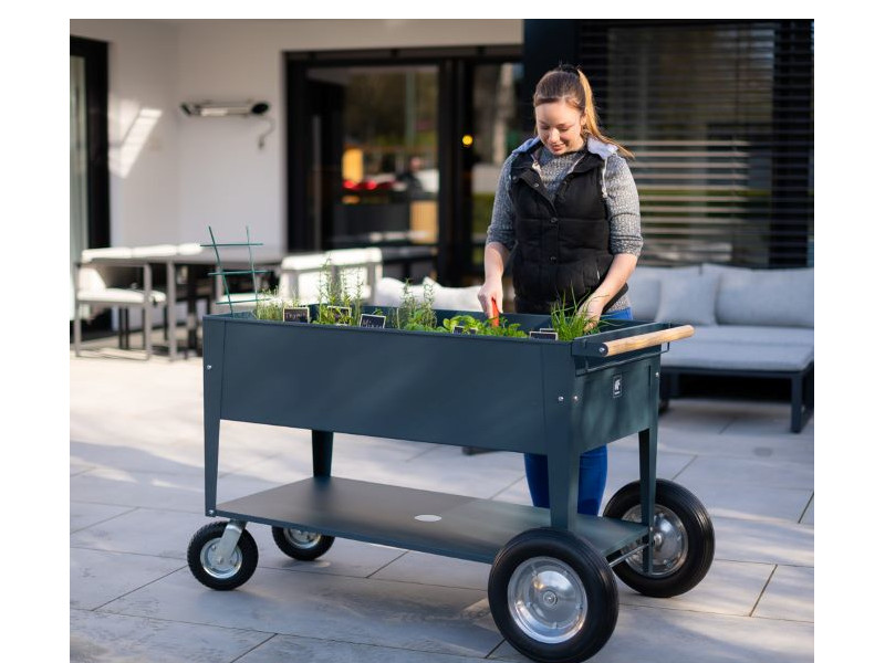 HERSTERA Kräuterfabrik SWIVEL 120x60x80 anthrazit