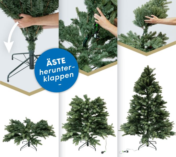 EVERGREEN Weihnachtsbaum Roswell Kiefer 210 cm