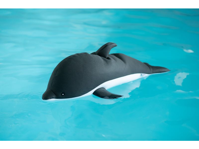 WESTMANN Pool Buddy DELFIN