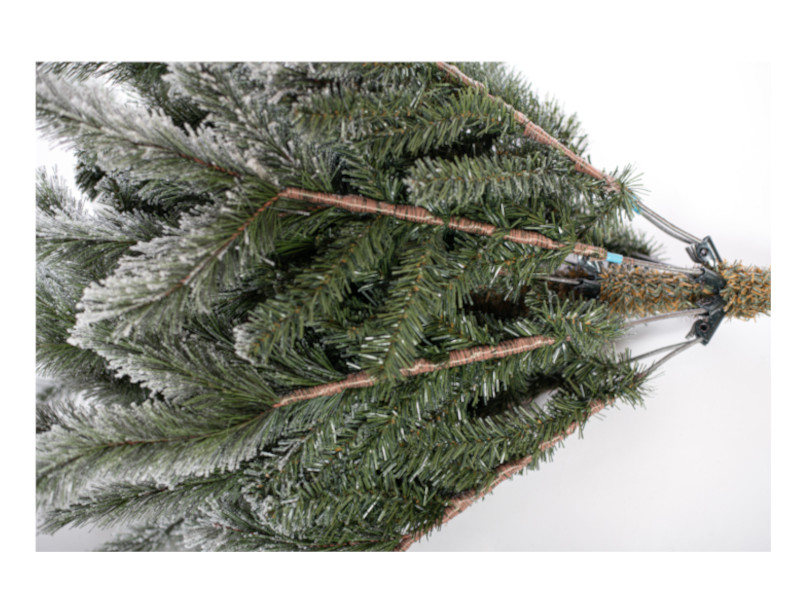 EVERGREEN CEDAR Kiefer Frost 210cm