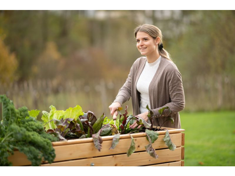 WESTMANN Hochbeet Fichte 160x70x90 cm natur