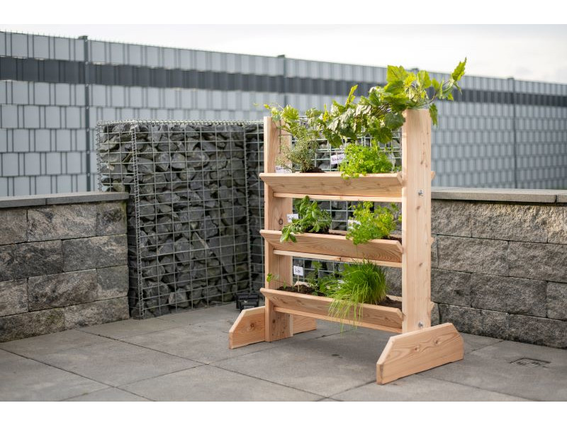 WESTMANN Kräuterregal Lärche 50x80x95 cm natur