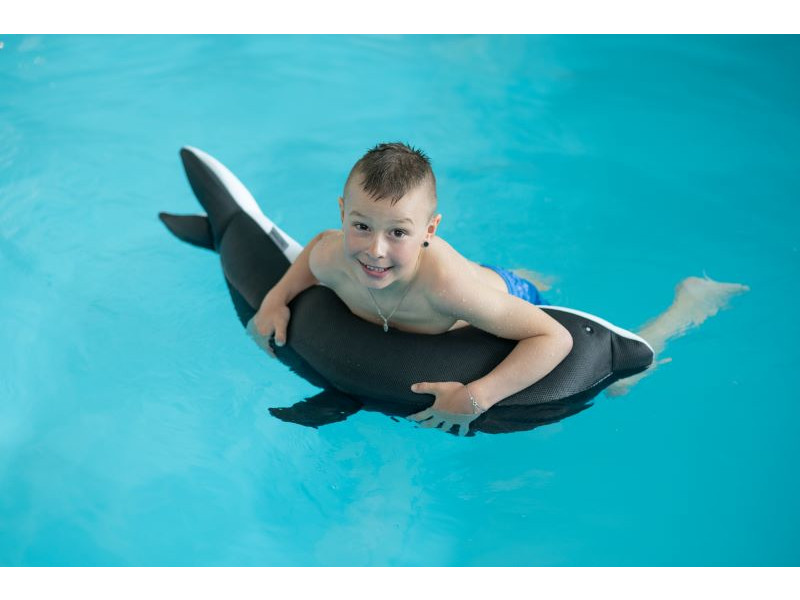WESTMANN Pool Buddy DELFIN