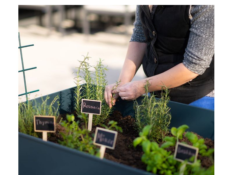 HERSTERA Kräuterfabrik SWIVEL 120x60x80 anthrazit