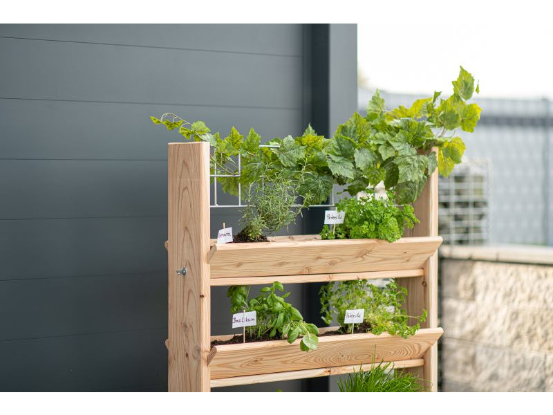 WESTMANN Kräuterregal Lärche 50x80x95 cm natur