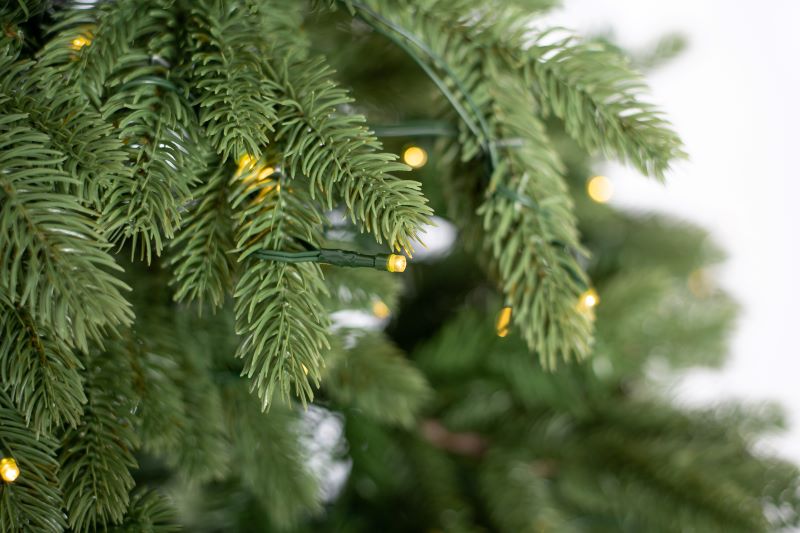 EVERGREEN Weihnachtsbaum Roswell Kiefer 210 cm