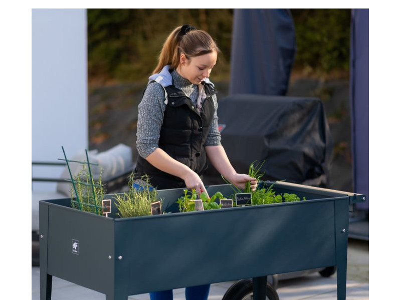 HERSTERA Kräuterfabrik SWIVEL 120x60x80 anthrazit