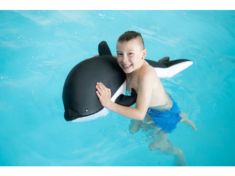 WESTMANN Pool Buddy DELFIN