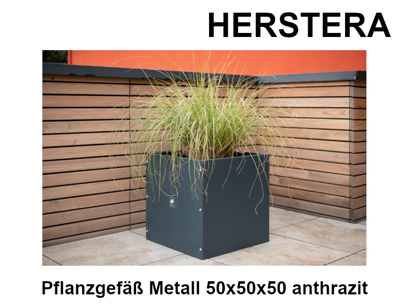 HERSTERA Pflanzgefäß Metall 50x50x50 anthrazit