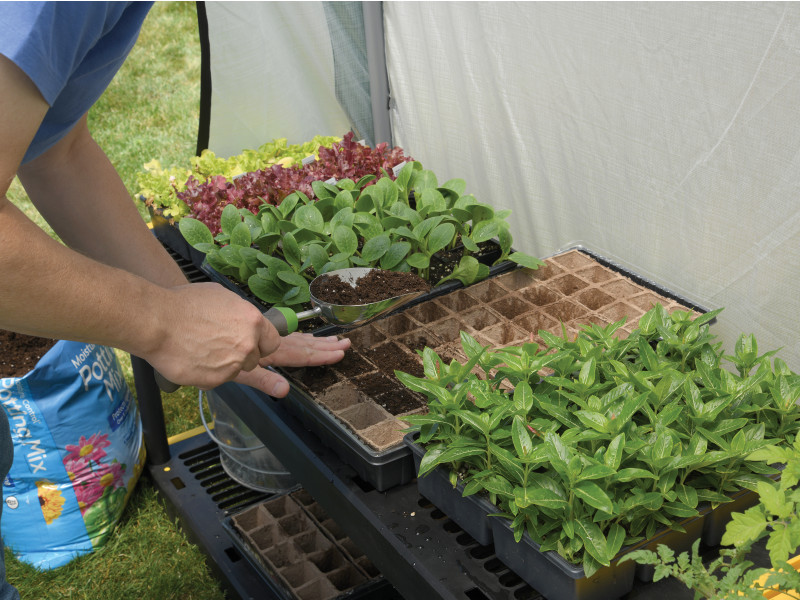 SHELTERLOGIC Folien Gewächshaus Treibhaus 180x240x200 cm